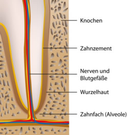 Zahnzement